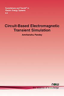 Circuit-Based Electromagnetic Transient Simulation