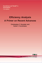Efficiency Analysis: A Primer on Recent Advances