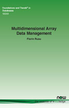 Multidimensional Array Data Management