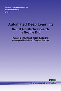 Automated Deep Learning: Neural Architecture Search Is Not the End