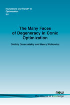 The Many Faces of Degeneracy in Conic Optimization