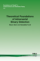 Theoretical Foundations of Adversarial Binary Detection