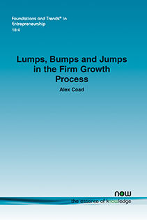 Lumps, Bumps and Jumps in the Firm Growth Process